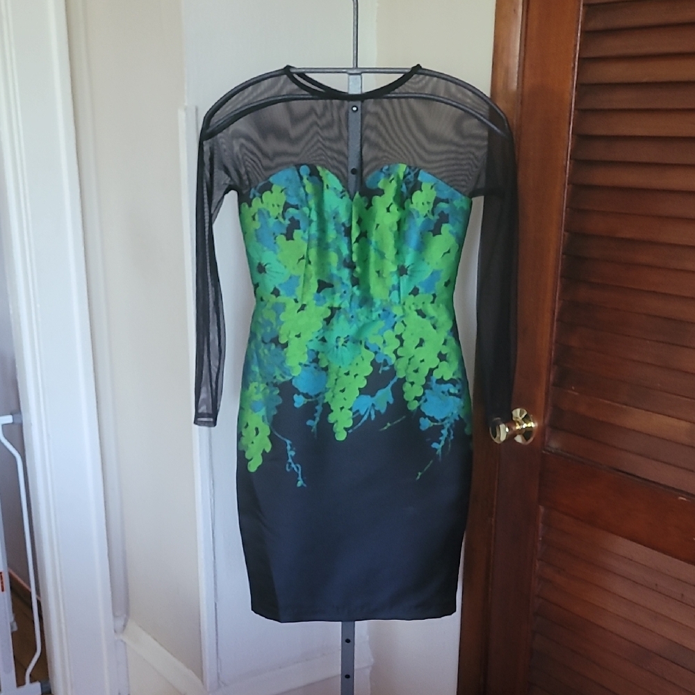 Eva Franco Long Sleeve Dress with Black and Green Design, Size 4